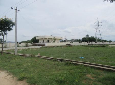 West Facing