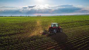 Agriculture Land